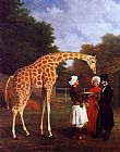 Jacques Laurent Agasse The Nubian Giraffe painting